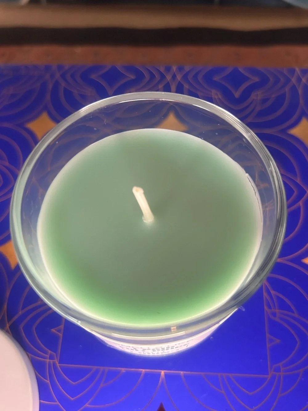 Western Brook “Smells Like I Paid Full Price” Eucalyptus & Aloe Scented Candle